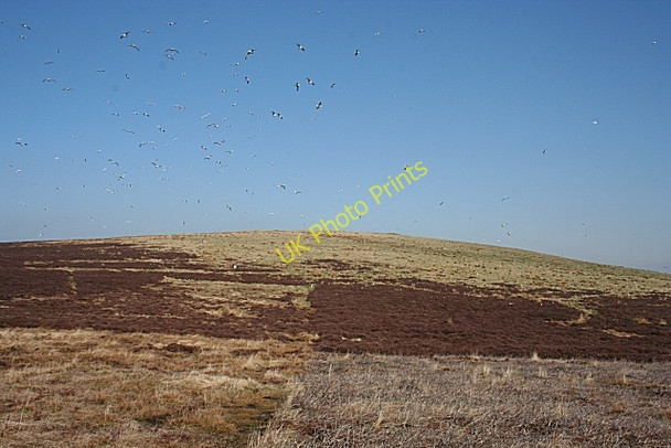 Photo 6"x4" Approaching Tom M\u00c3\u00b2r Haugh of Glass c2009