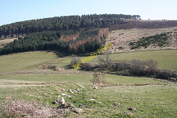 Photo 6"x4" Hill of Dumeath Haugh of Glass c2009