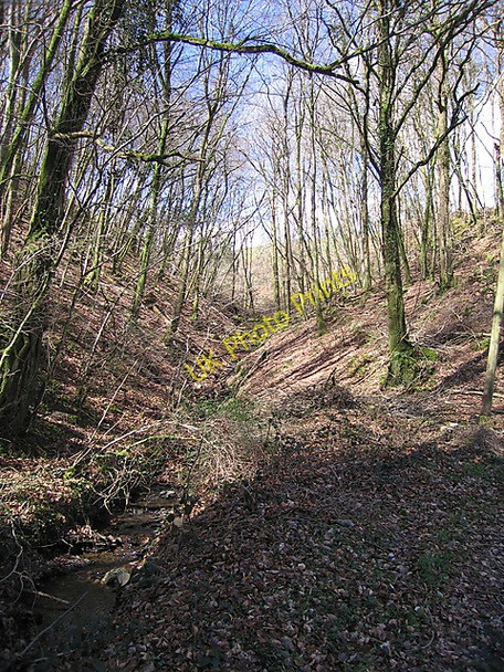 Photo 6"x4" Stream near Cilgwyn Llanwrin c2009