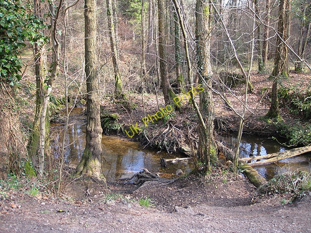 Photo 6"x4" Blackpool Brook Cannop c2009
