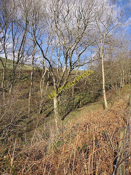 Photo 6"x4" Pen Cwm Ffrydlan Ceinws c2009