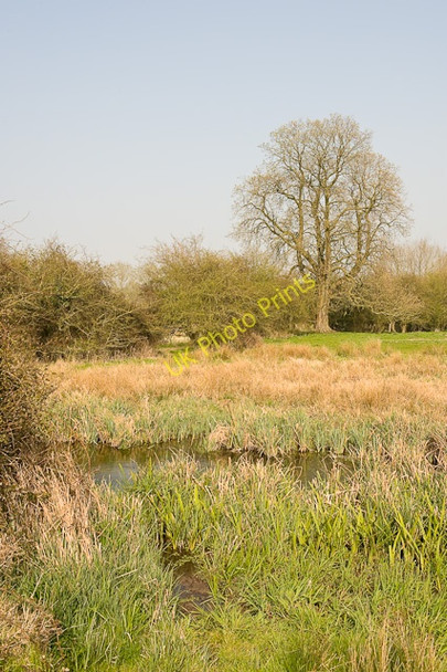 Photo 6"x4" Water meadows near Compton Compton\/SU4625 c2009