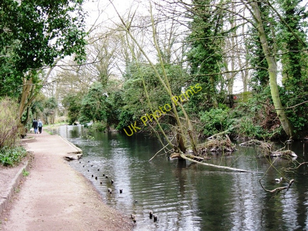 Photo 6"x4" Wendover Arm: Fallen Tree in the Canal Wendover c2009