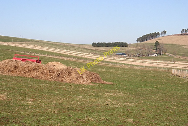 Photo 6"x4" Looking towards Quarryhead Haugh of Glass c2009