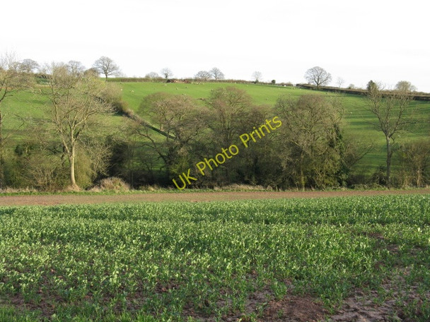 Photo 6"x4" Rolling Herefordshire Countryside Marston Stannett c2009