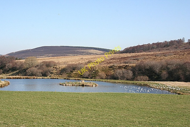 Photo 6"x4" Pond in Glen Markie Haugh of Glass c2009