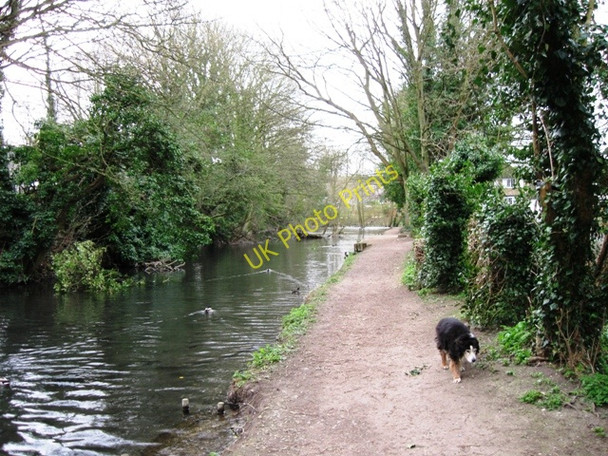 Photo 6"x4" Wendover Arm: Along the Canal-side Footpath Wendover c2009