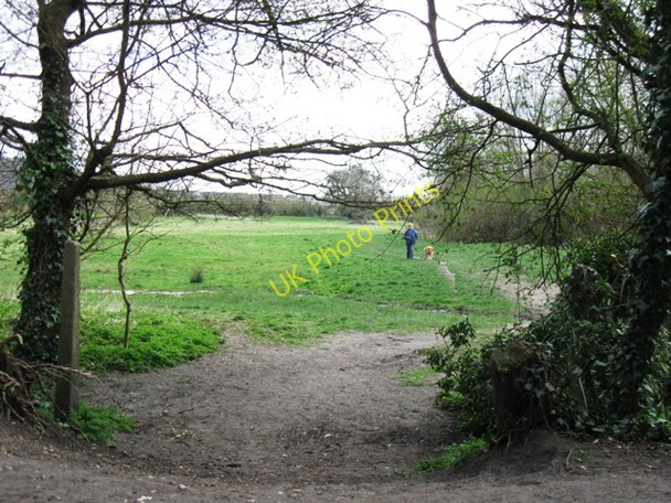 Photo 6"x4" Halton Railway \u00e2\u0080\u0093 An informal footpath crosses the track \u00e2\u0080\u0093 looking South Wendover c2009