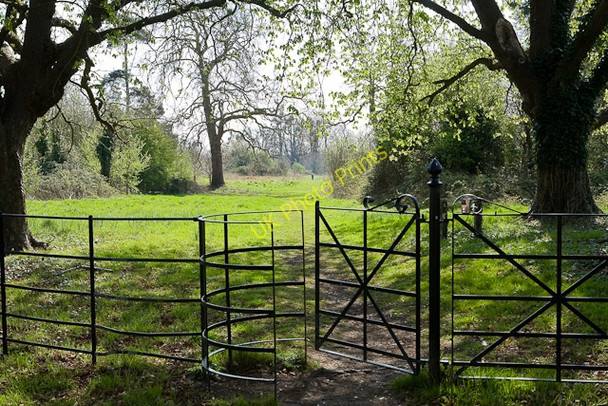 Photo 6"x4" Avenue Park, North Stoneham Eastleigh\/SU4519 c2009