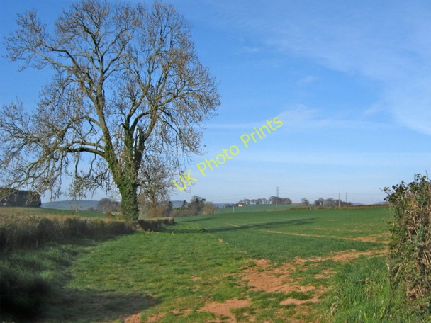 Photo 6"x4" Field entrance, Clayhill Farm Gothelney Green c2009