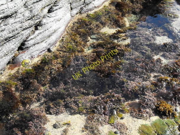 Photo 6"x4" Rock pools on north side of Trwyn Cemlyn Tregele c2009