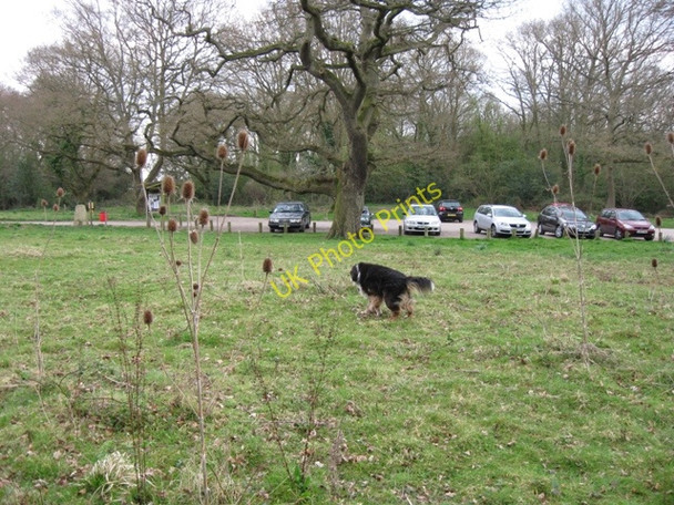 Photo 6"x4" Car Park for Great and Little Bookham Commons Little Bookham c2009