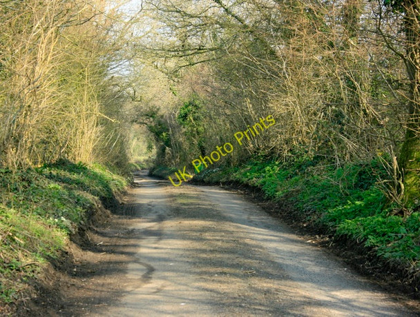 Photo 6"x4" 2009 : Long Lane heading east Cloford c2009