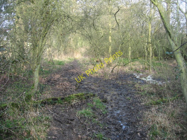 Photo 6"x4" An unclear footpath Church End\/SU6756 c2009