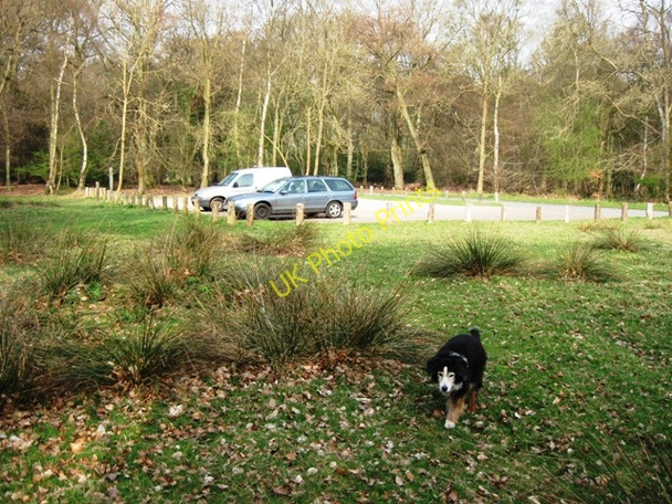 Photo 6"x4" Roadside Car Park, Ashridge (near Aldbury) Aldbury c2009