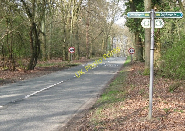 Photo 6"x4" The Footpath crosses the Road from Aldbury Aldbury c2009