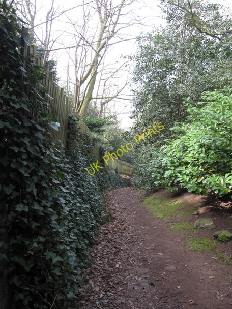 Photo 6"x4" Old path above Helsby Helsby c2009