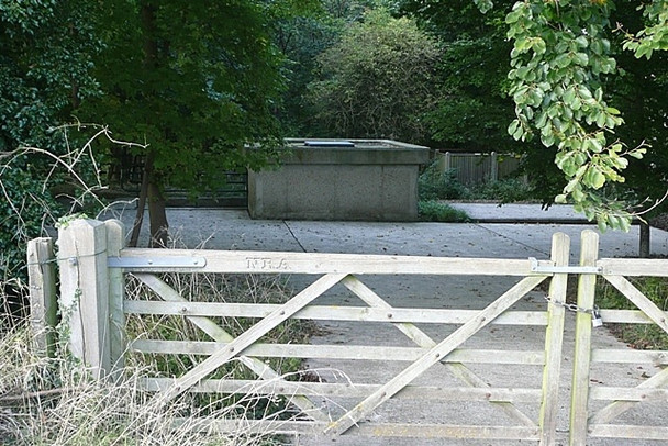 Photo 6"x4" Mystery in the woods Bothampstead c2008