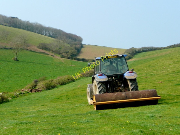 Photo 6"x4" Rolling the pasture Polkerris c2009