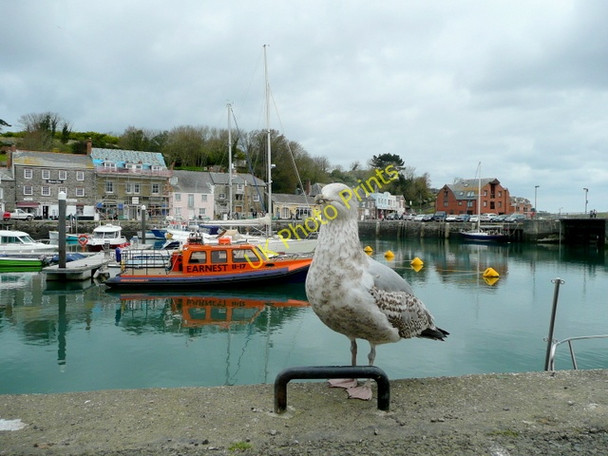 Photo 6"x4" Padstow resident Padstow c2009