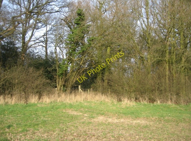 Photo 6"x4" Field corner Church End\/SU6756 c2009