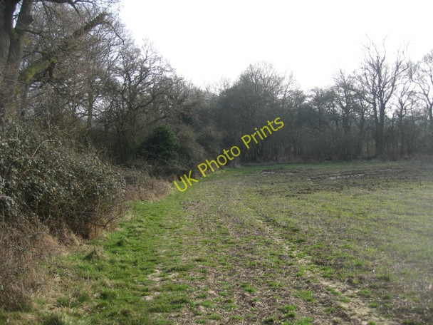 Photo 6"x4" Damp field corner Church End\/SU6756 c2009