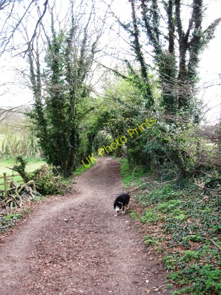Photo 6"x4" Along the County Boundary Bridleway near Tring Tring c2009