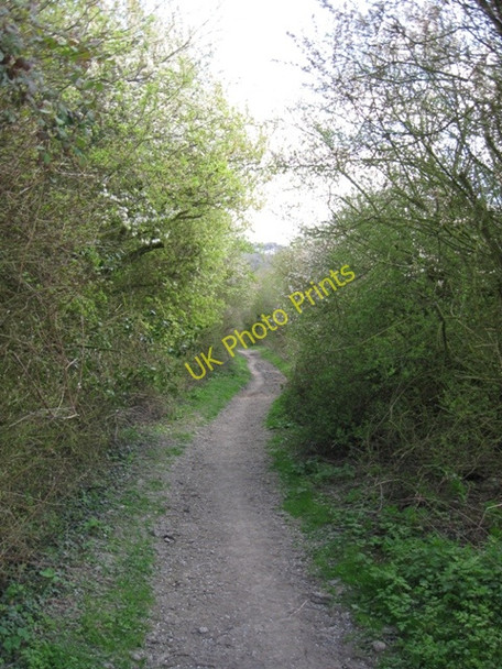 Photo 6"x4" Fox Lane, Tring Tring c2009