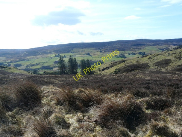 Photo 6"x4" Moorland near Loch Muidhe. Muie c2009