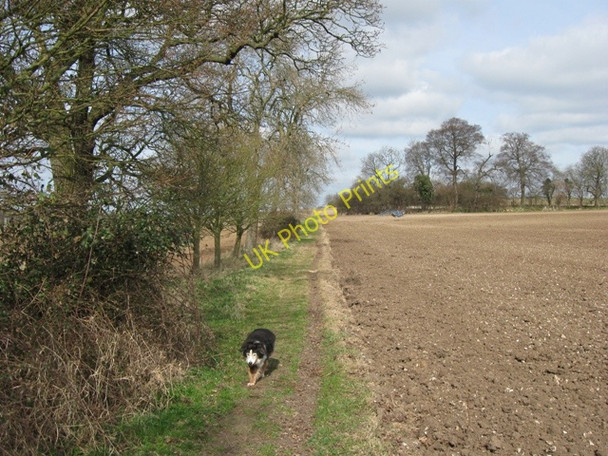 Photo 6"x4" Footpath between two huge ploughed field Berkhamsted c2009