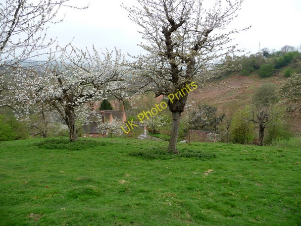 Photo 6"x4" Yeldon farmhouse from the orchard Stockton on Teme c2009