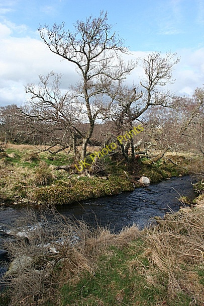 Photo 6"x4" River Lossie Dallas c2009