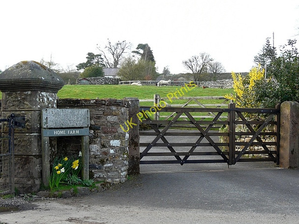 Photo 6"x4" Gates at Home Farm Ratten Row\/NY3240 c2009