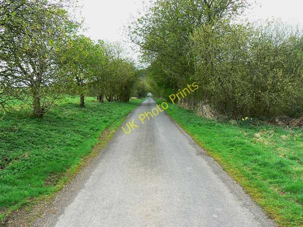 Photo 6"x4" Minor road to Wilton Crofton\/SU2662 c2009