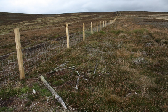 Photo 6"x4" New Fencing on Birnie Hill Slack Burn\/NO6679 c2008