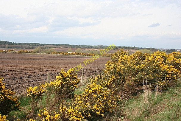 Photo 6"x4" Near Birkenhill New Elgin c2009