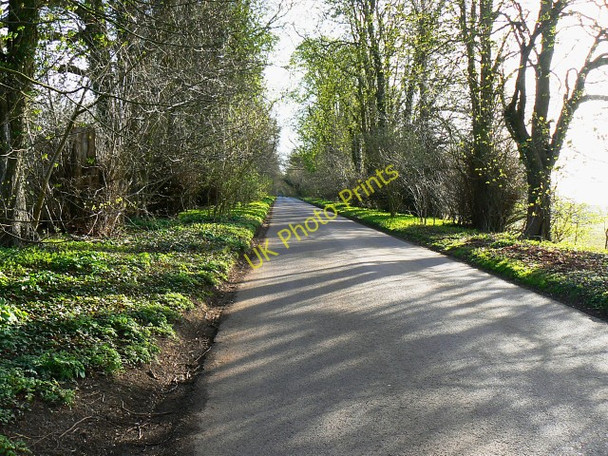 Photo 6"x4" The road through Cobham Frith Chisbury\/SU2766 c2009