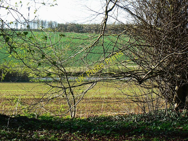 Photo 6"x4" The A4, west of Froxfield Chisbury\/SU2766 c2009