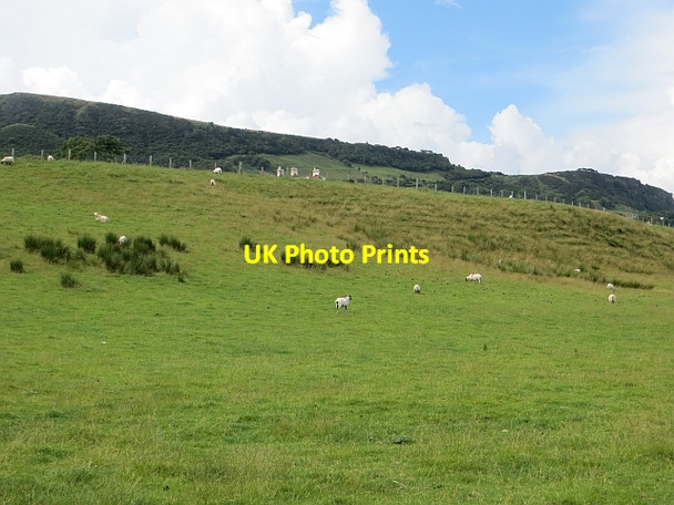 Photo 6"x4" Coastal pasture Glenarm\/D3115 c2013