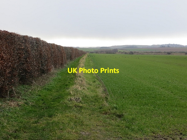 Photo 6"x4" Field edge path North Berwick c2014
