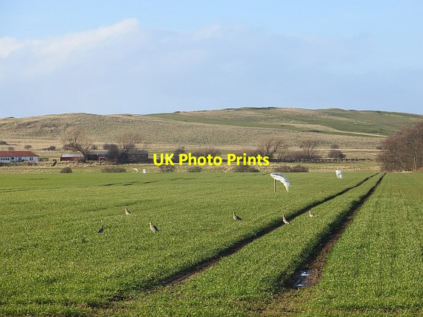 Photo 6"x4" Arable land, Luffness Ballencrieff c2014