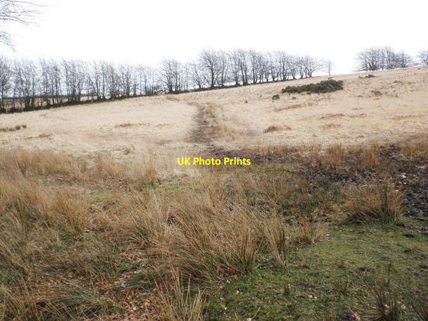 Photo 6"x4" East Anstey Common Waddicombe c2014