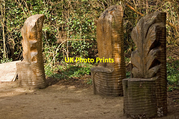 Photo 6"x4" Country Park carvings, Hessle Hessle\/TA0326 c2014