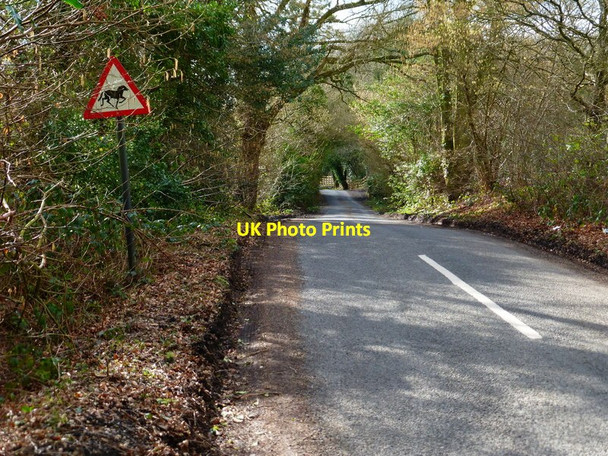 Photo 6"x4" Looking west on Tadpole Lane Ewshot c2014