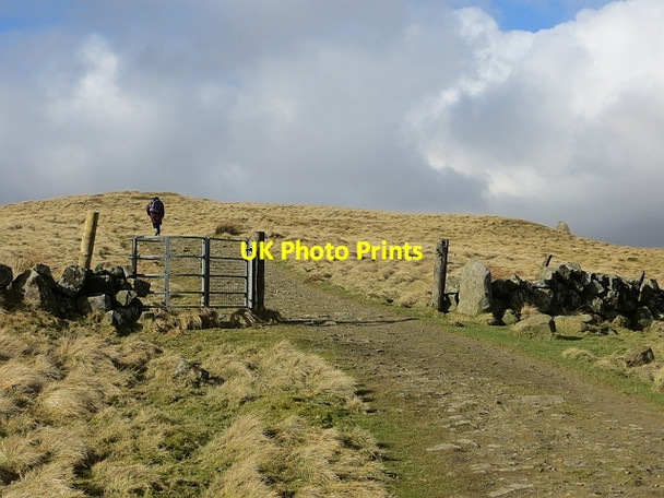 Photo 6"x4" Track towards West Lomond Gateside\/NO1809 c2014