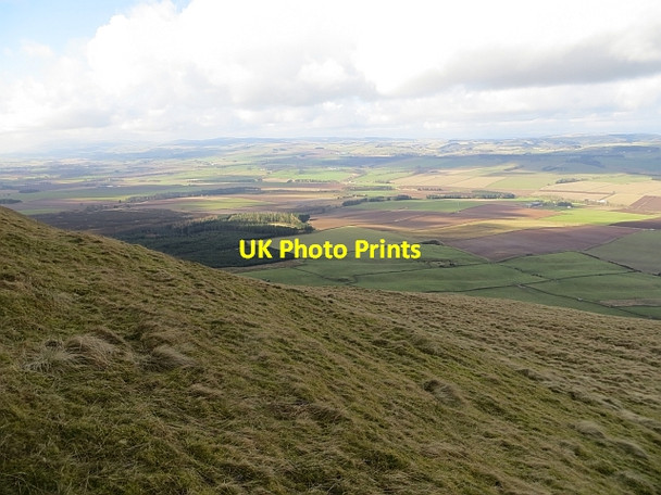 Photo 6"x4" Slopes of West Lomond Hill Gateside\/NO1809 c2014