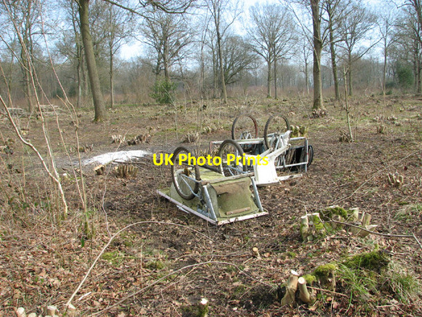 Photo 6"x4" Coppicing in Lower Wood Ashwellthorpe c2014 P1