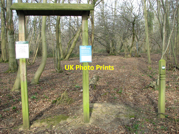 Photo 6"x4" Lower Wood Nature Reserve - information board Ashwellthorpe c2014