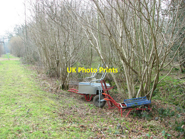 Photo 6"x4" Path in Lower Wood Ashwellthorpe c2014
