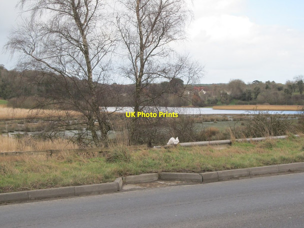 Photo 6"x4" The Quoile Marshes east of the A7 Downpatrick c2014